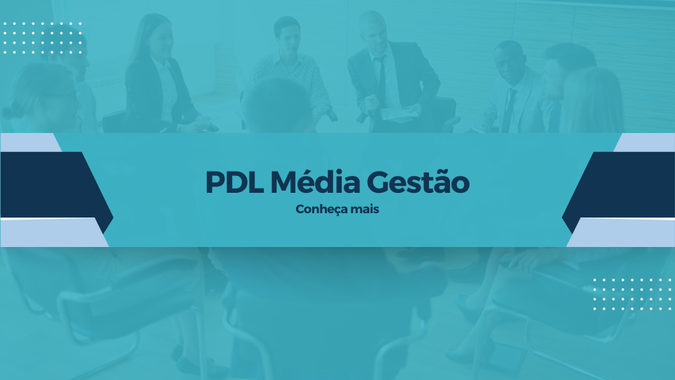 PDL Média Gestão