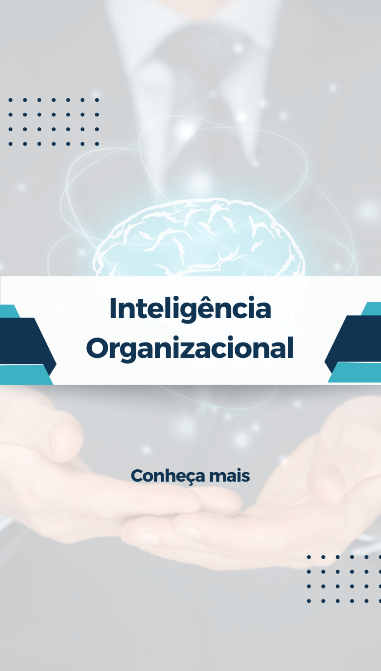 San Martin - Inteligência Organizacional