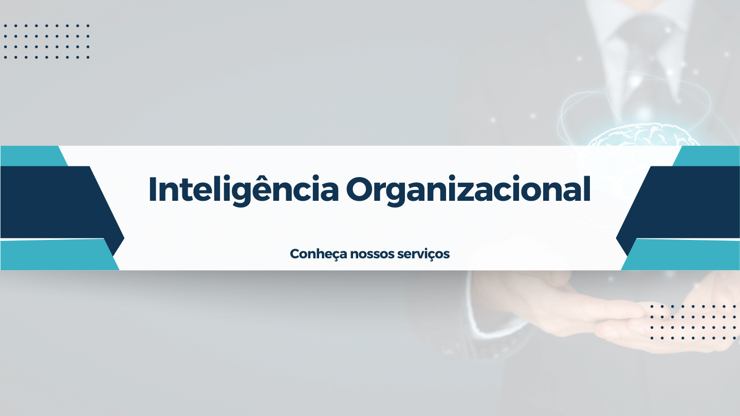 San Martin Inteligência Organizacional